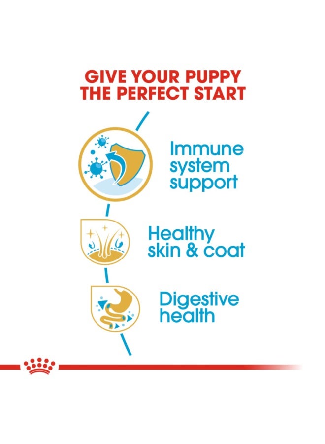 رويال كانين تغذية صحة سلالة جرو جولدن ريتريفر - 12 كجم - Image 5